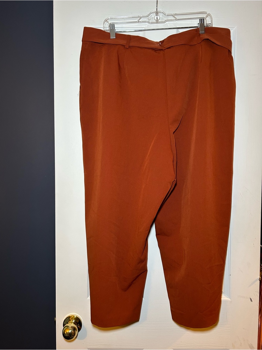 ASOS Curve Rust Tie-Waist Cropped Pants - Picture 2 of 3